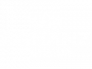 Schanz Logo
